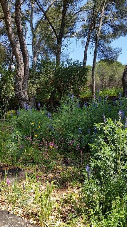 Morgante Bed & Breakfast Pedara